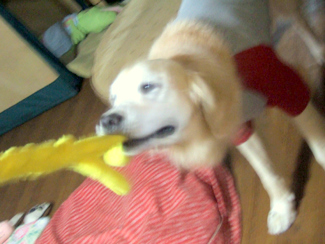 c0097558_125308.jpg