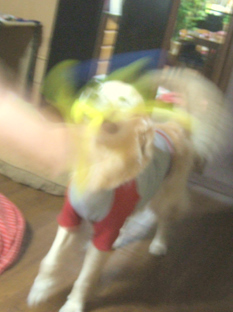 c0097558_1265282.jpg