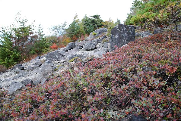 c0043361_0373618.jpg