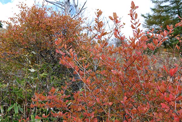 c0043361_0391114.jpg