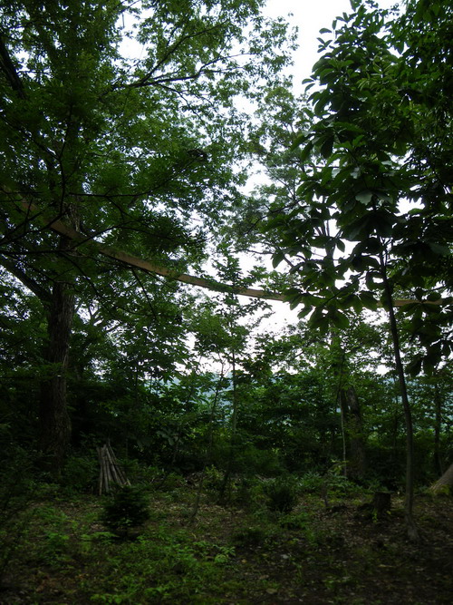 c0174064_395428.jpg