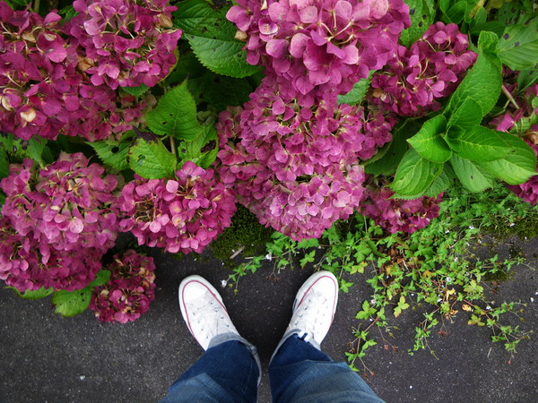 c0174064_421781.jpg