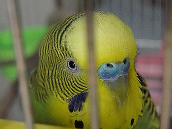 f0196665_154751.jpg