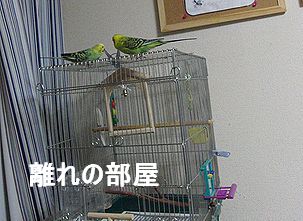 f0196665_23371051.jpg