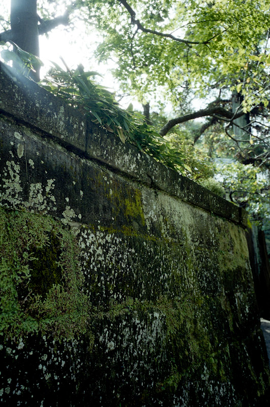 c0084666_22512456.jpg