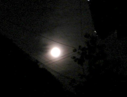 f0003174_1126598.jpg