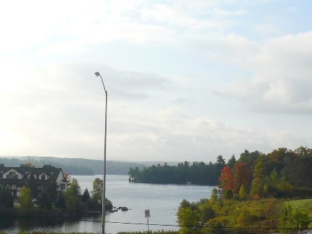 a0100975_1395190.jpg