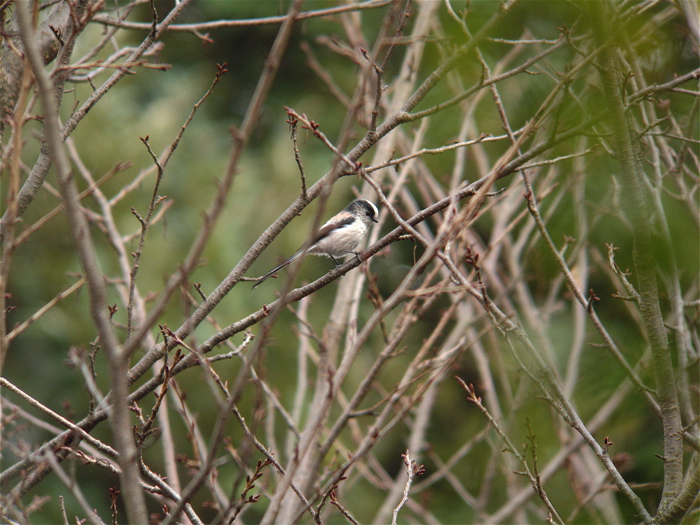 e0015377_22202042.jpg