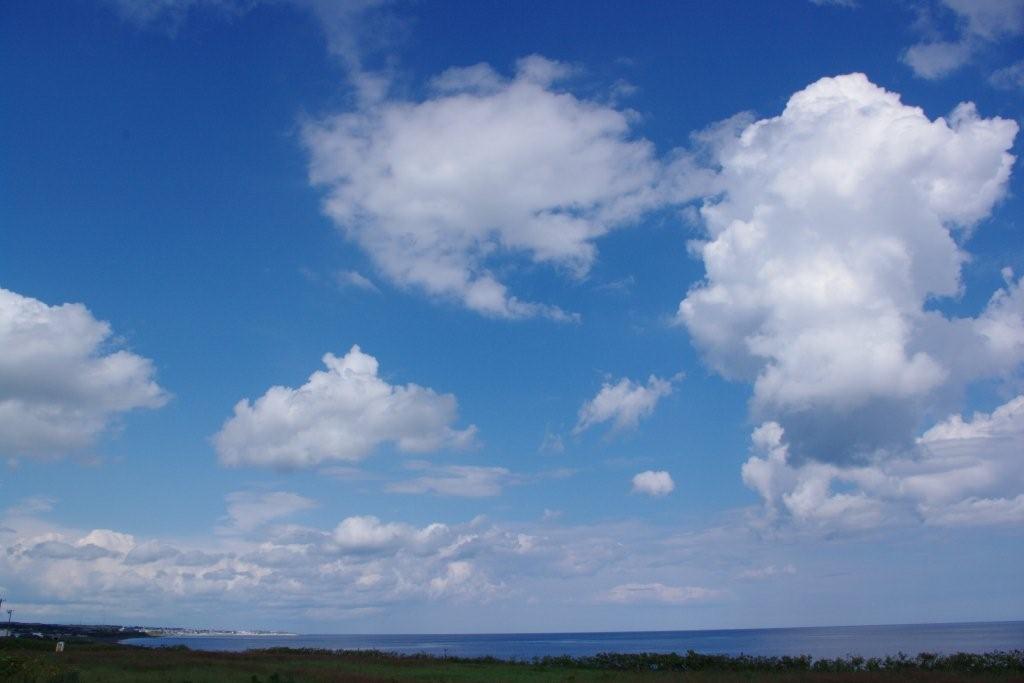 b0165778_1040998.jpg
