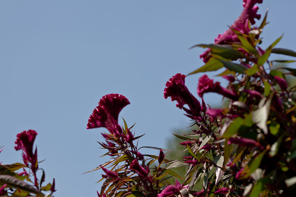 a0083081_15352320.jpg
