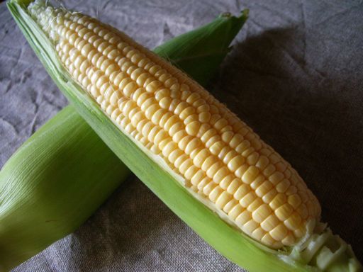 c0144683_1764071.jpg