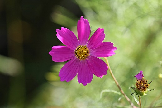 e0190885_14442125.jpg