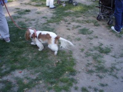 c0086895_18324955.jpg