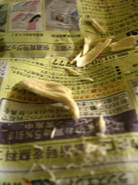 a0045697_20372626.jpg
