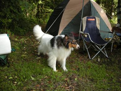 f0081100_1791967.jpg