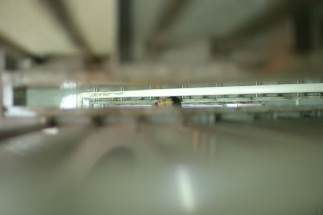 d0091001_2143445.jpg