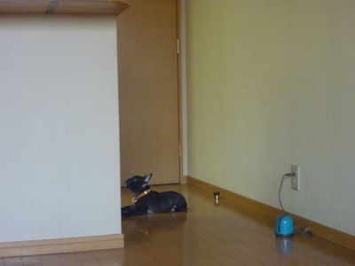 f0085501_8514127.jpg