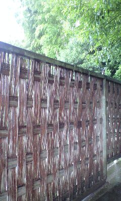 b0083902_0514243.jpg