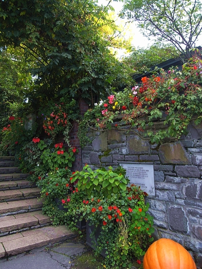 f0065604_1849083.jpg
