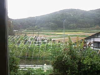 c0126205_205557.jpg