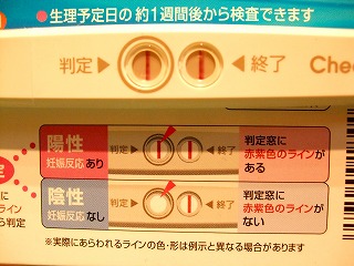 c0162005_005424.jpg