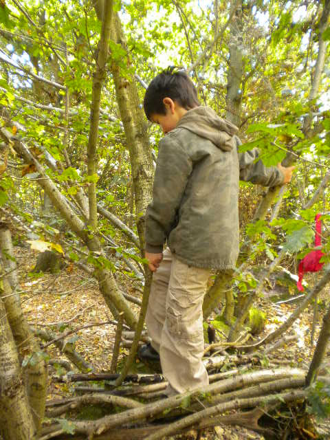 e0160905_6592223.jpg