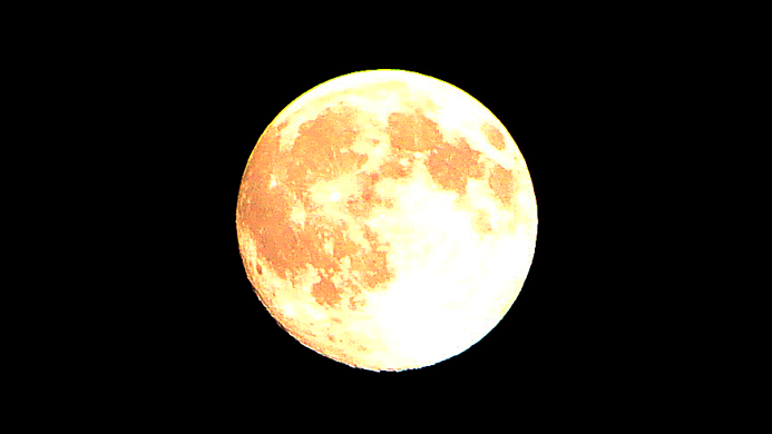 f0080105_121624.jpg