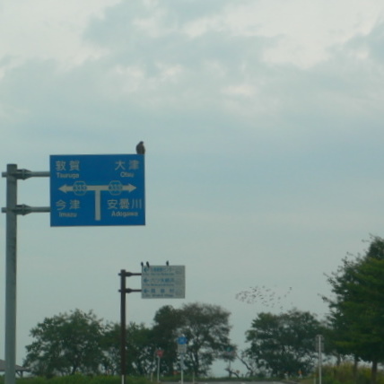 f0167007_9565565.jpg
