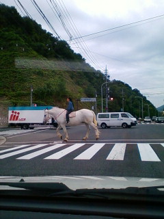 f0014209_10105680.jpg