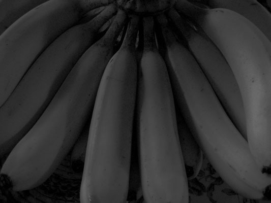 b0135310_19234454.jpg
