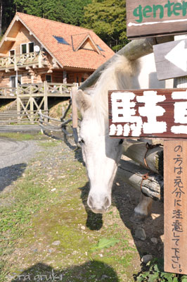 c0205410_1229830.jpg