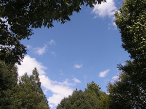 f0143412_2031298.jpg