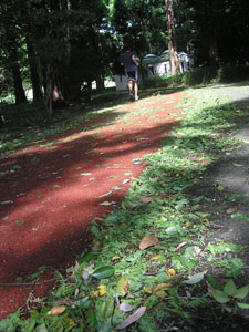 f0143412_20315774.jpg