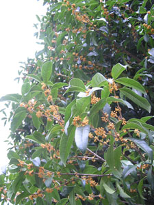 f0143412_2032363.jpg