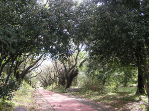 f0143412_20325671.jpg