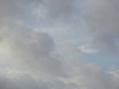 c0145016_2156544.jpg