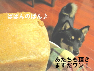 c0185516_11421618.jpg