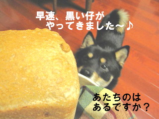 c0185516_1142556.jpg