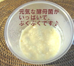 c0185516_119511.jpg