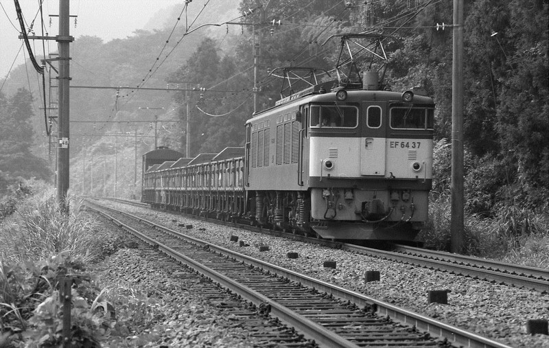 f0203926_2358201.jpg