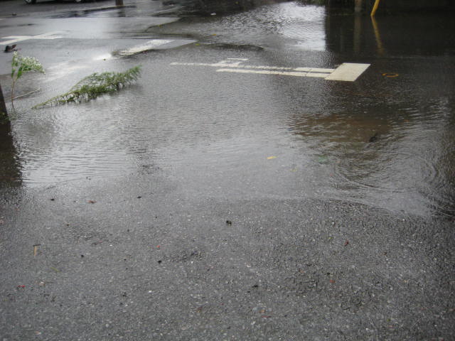 e0166032_20393337.jpg