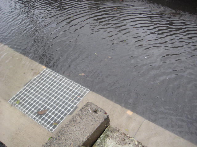 e0166032_20402765.jpg