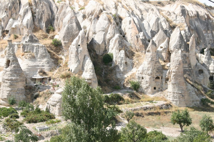 d0140533_16175824.jpg