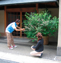 d0033734_0345425.jpg