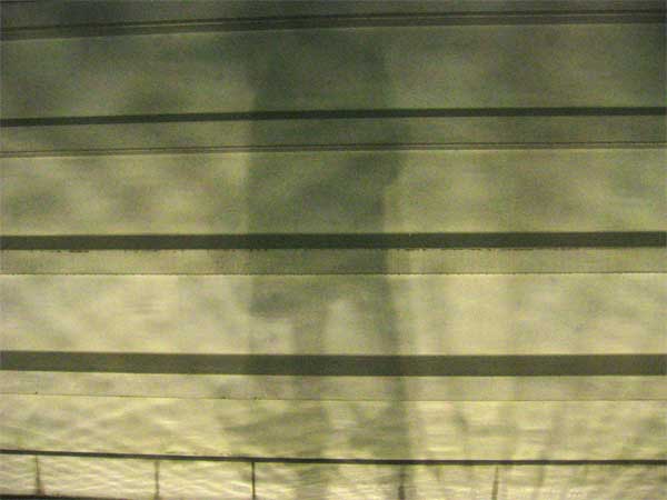 a0095337_22334647.jpg