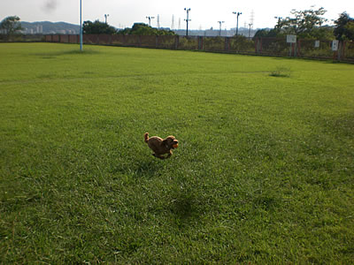 f0182239_1562256.jpg