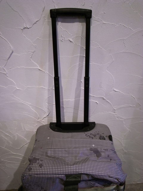 f0153842_13311995.jpg