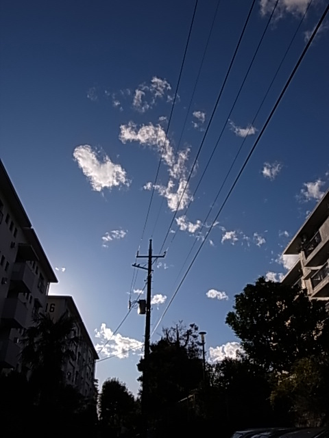 d0067943_1811954.jpg