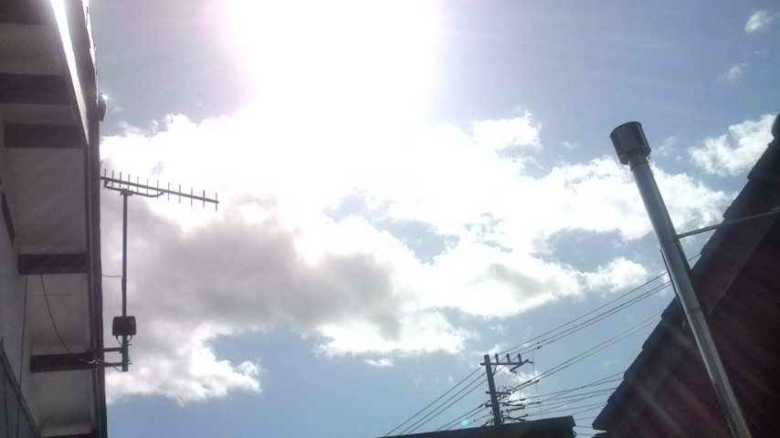 b0032346_15203152.jpg