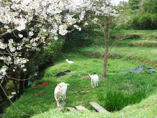 c0086046_13381452.jpg